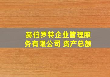 赫伯罗特企业管理服务有限公司 资产总额